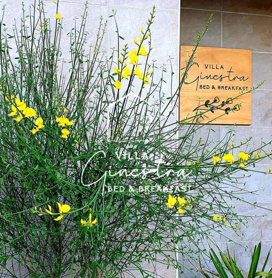 B&B Villa Ginestra Pescara Exterior foto